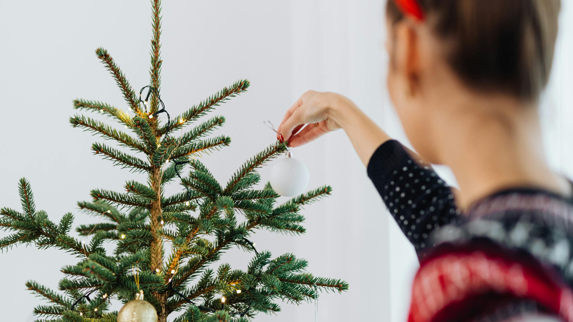 Christmas Traditions